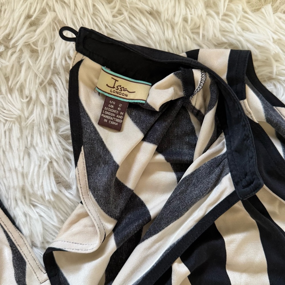 Issa London Striped Silk Dress - Picture 7 of 16